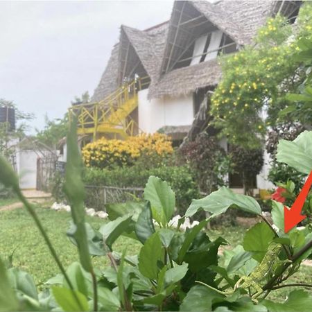 Botanica Eco Lodge Michamvi Kae Luaran gambar