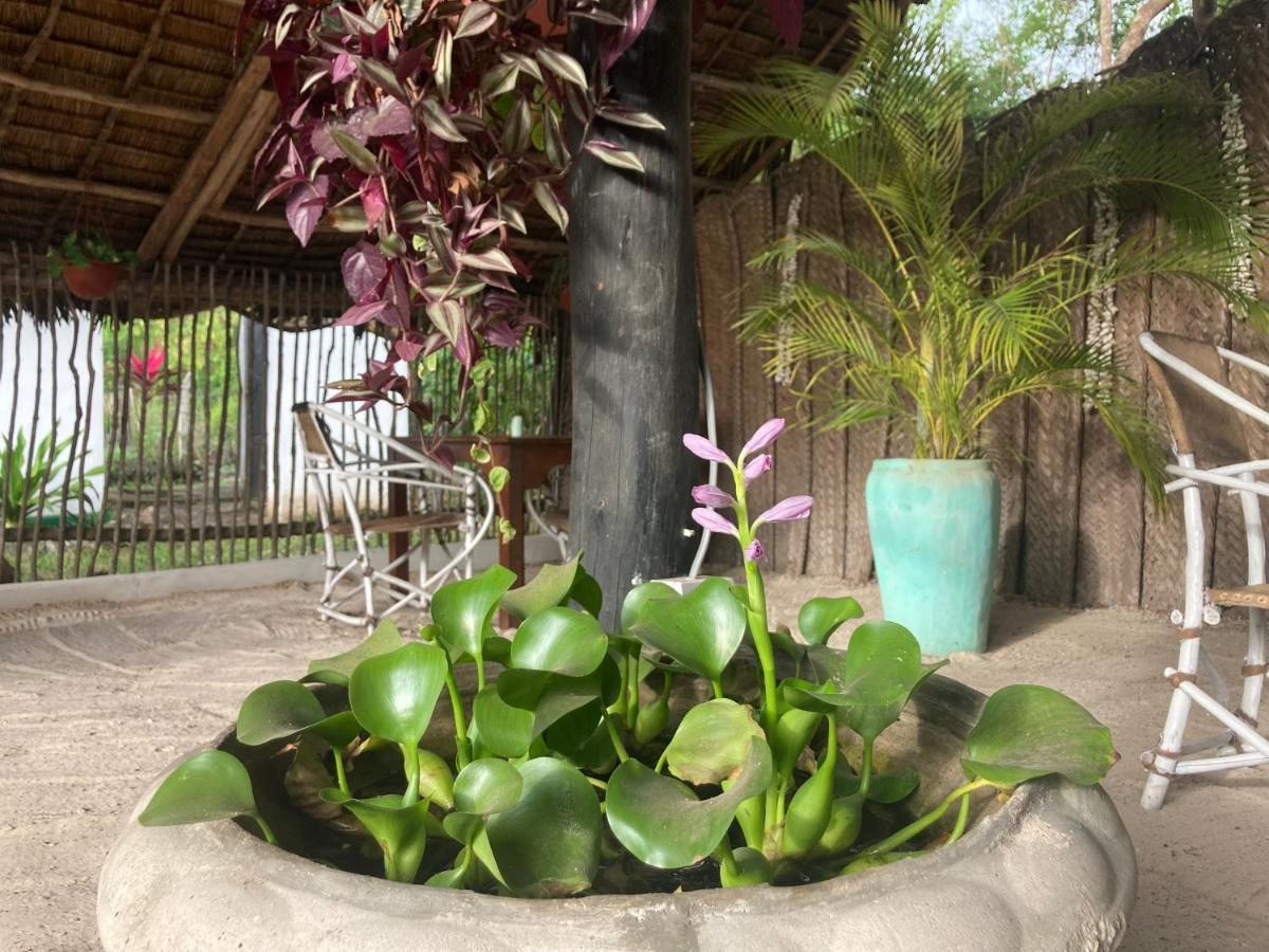 Botanica Eco Lodge Michamvi Kae Luaran gambar