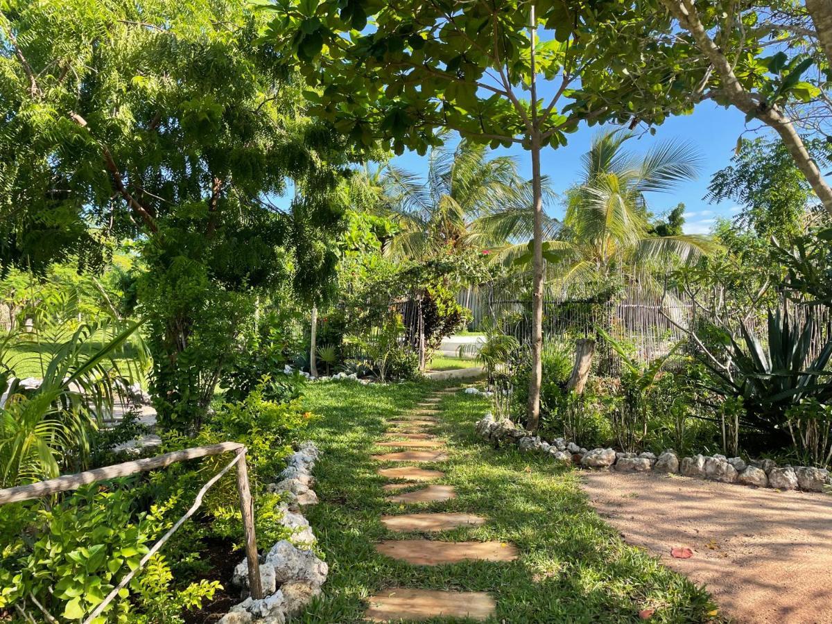 Botanica Eco Lodge Michamvi Kae Luaran gambar