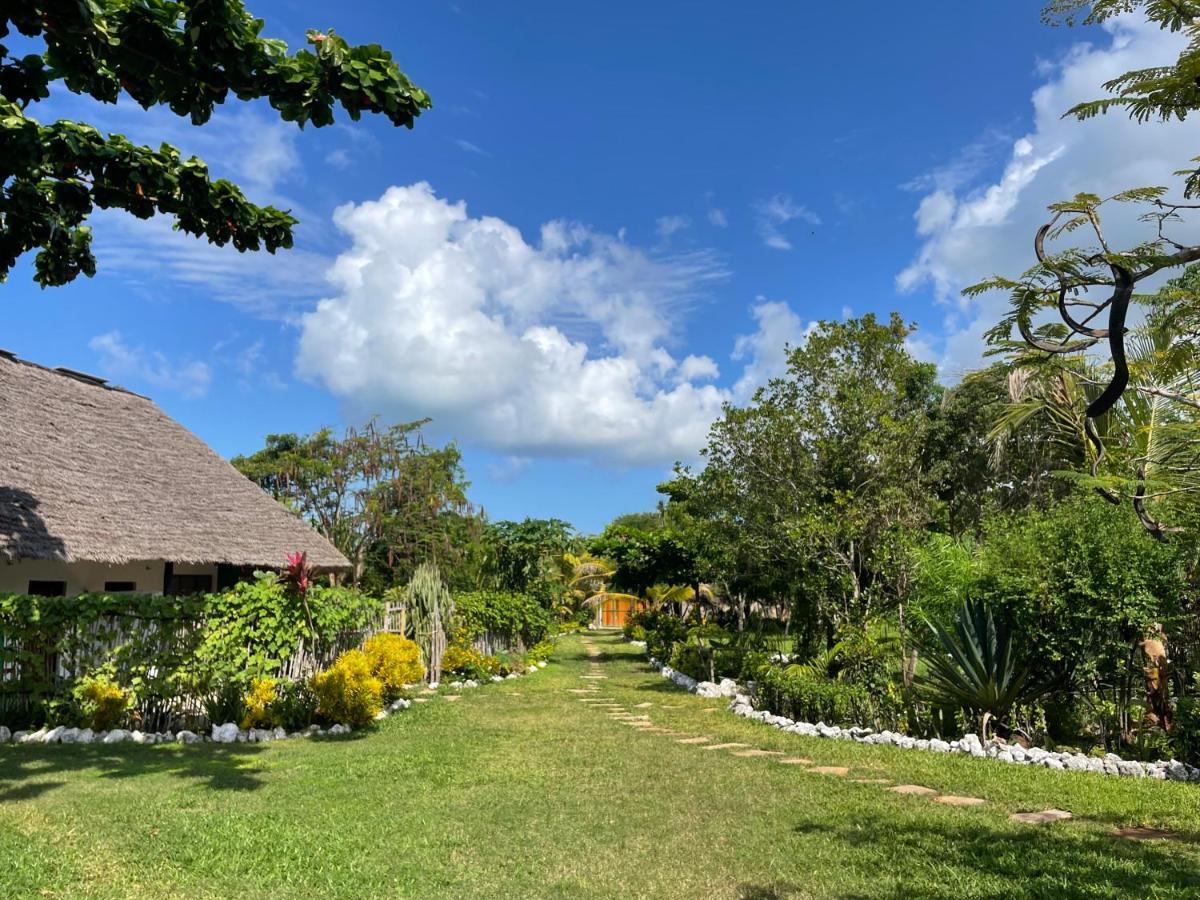 Botanica Eco Lodge Michamvi Kae Luaran gambar