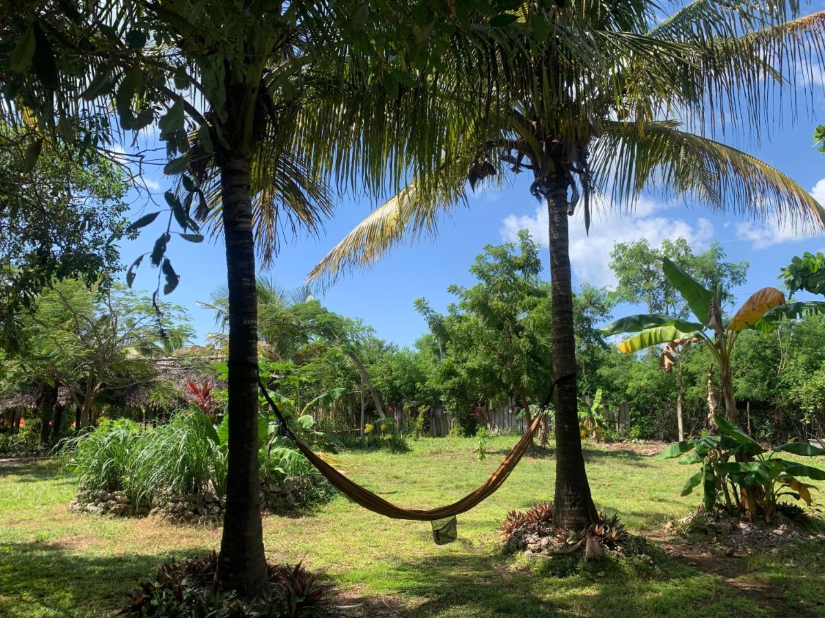 Botanica Eco Lodge Michamvi Kae Luaran gambar