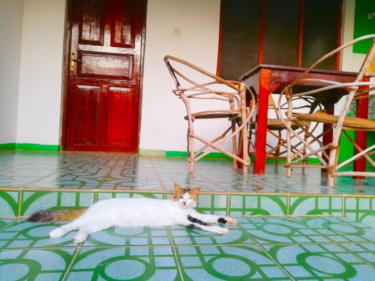 Botanica Eco Lodge Michamvi Kae Luaran gambar